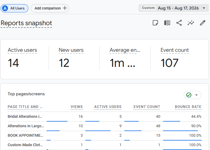 Studio Elsy's Google Analytics performance report showing website activity